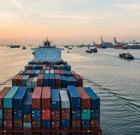 Bulk Sea Transport